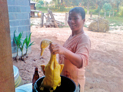 Thai-Ente auf rustikale Art zubereitet