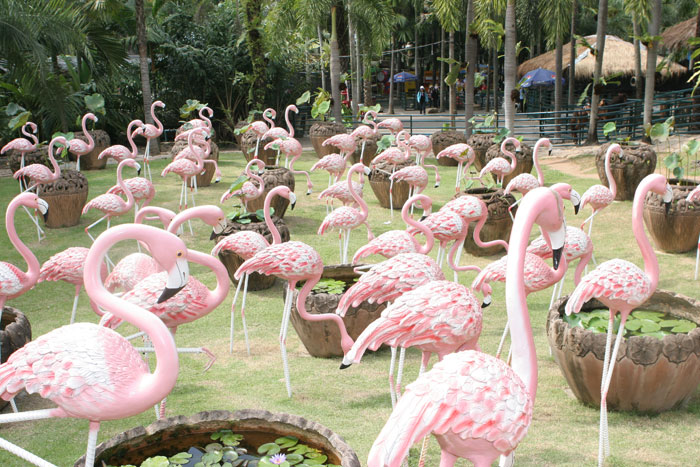 Keine echten Flamingos im Nong Nooch Park