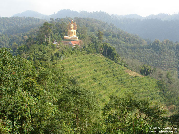 Der prächtige Buddha residiert über den halb zerstörten Bergwald