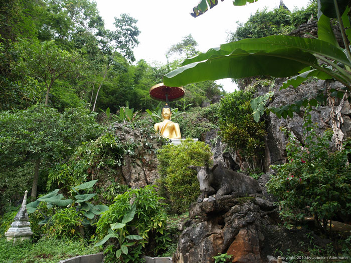 Chiang Dao Höhle