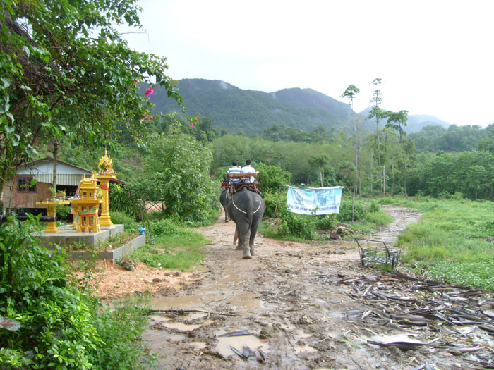 Ausritt auf einem Elefanten auf Koh Chang