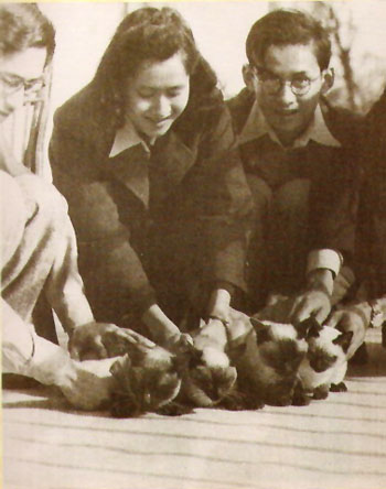 Bhumibol Adulyadej mit Katzen.